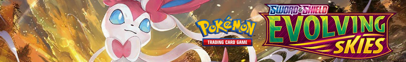 Evolving Skies Banner